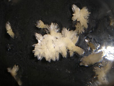 DIMETHYLTRYPTAMIN (DMT)